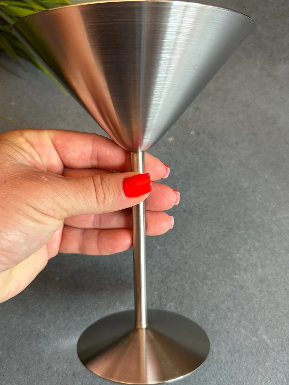 Stainless Steel Martini Glass - Silver